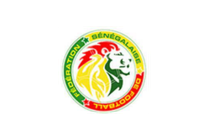 FSF Logo SCI SARL