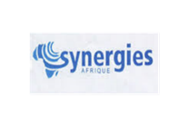 Synergies Afrique Logo SCI SARL