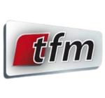 TFM Logo SCI SARL