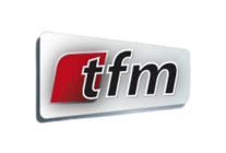 TFM Logo SCI SARL