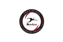dIAMBARS Logo SCI SARL